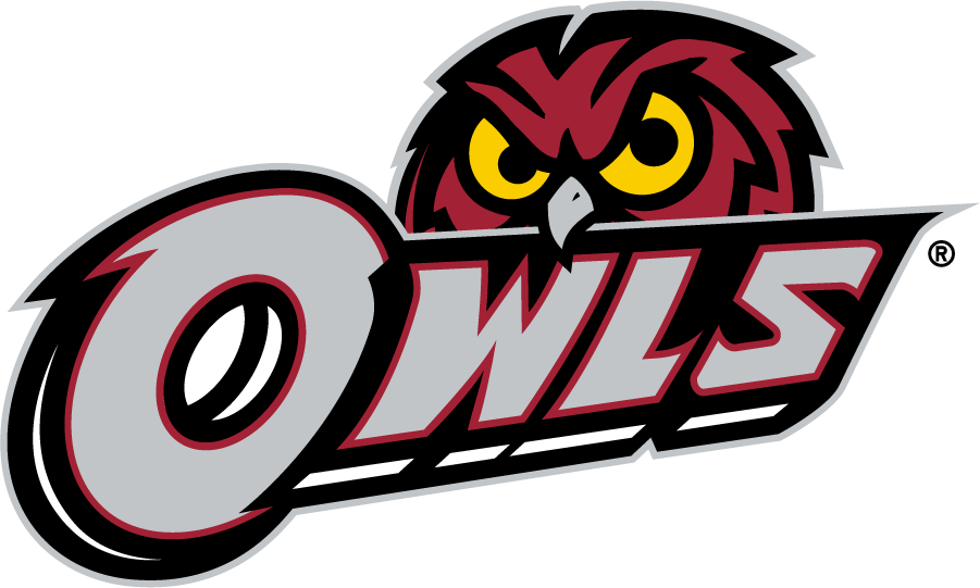 Temple Owls 2014-2020 Secondary Logo v3 DIY iron on transfer (heat transfer)